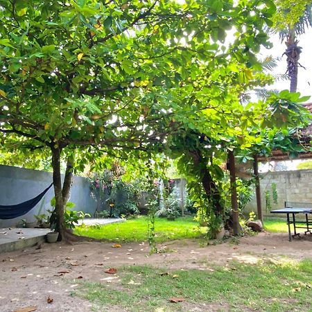 Lotus Surf House Hotel Midigama Kelet Kültér fotó